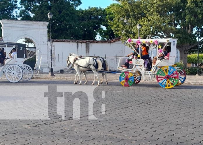 Descubre la magia de Granada: Arte, historia y diversión en un solo lugar
