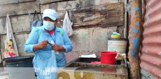 Foto: Abatización contra el mosquito transmisor /TN8