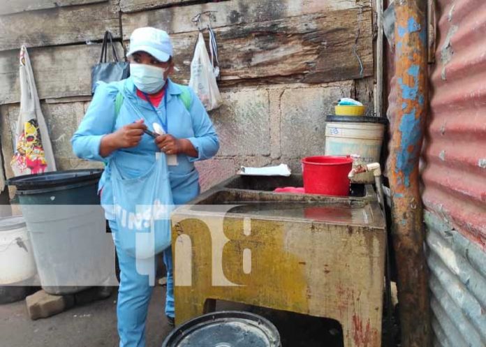 Foto: Abatización contra el mosquito transmisor /TN8