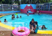 ¡Familias siguen disfrutando de sus merecidas vacaciones en las piscinas de Xilonem! Foto: ¡Familias siguen disfrutando de sus merecidas vacaciones en las piscinas de Xilonem!/TN8