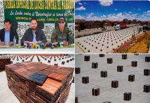 ¡Golpe duro al narcotráfico! Policía de Bolivia incautó 8.7 toneladas de cocaína ¡Golpe duro al narcotráfico! Policía de Bolivia incautó 8.7 toneladas de cocaína