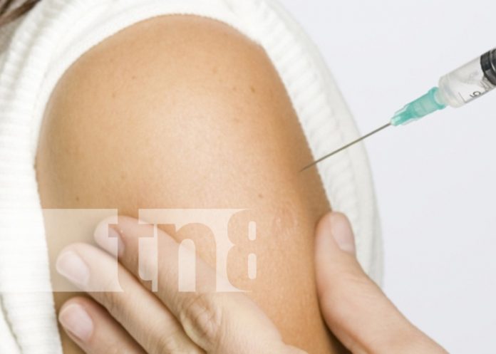 Foto: Estos son los vacunados contra el VPH en niños de 10 a 14 años /Cortesía