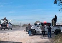 Investigan en México misterioso caso de 9 cadáveres hallados en dos camionetas Foto: Investigan en México misterioso caso /cortesía