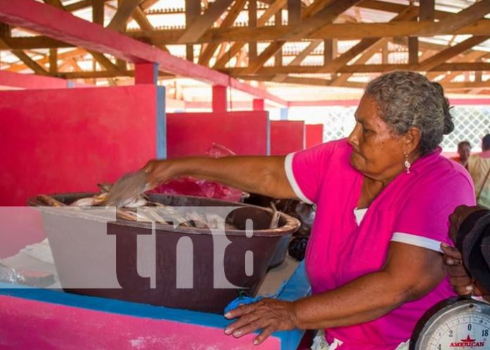 Foto: Alcaldía de Puerto Cabezas inicia el año con Plan de Orden en Mercados/TN8
