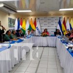 Más de 180 mil estudiantes de la ciudad y el campo ingresaran a las universidades de Nicaragua Foto: Universidades públicas de Nicaragua continúan garantizando educación gratuita /TN8