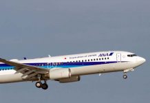 Foto: Avión de All Nippon Airways Regresa por Grieta en Ventana / Cortesía