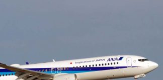 Foto: Avión de All Nippon Airways Regresa por Grieta en Ventana / Cortesía
