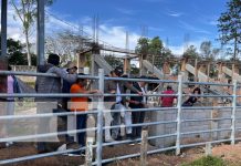 Avanza a buen ritmo la construcción de la primera etapa de la Barrera en Chontales Foto: Avanza a buen ritmo la construcción de la primera etapa de la Barrera en Chontales / TN8