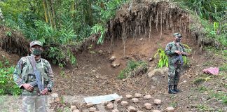 Foto: El Ejército de Nicaragua incautó varios paquetes de marihuana en Jalapa/TN8