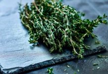 Deja de fumar y rescata tus pulmones antes de que sea demasiado tarde Foto: ¡Respira salud! Protege tus pulmones /cortesía