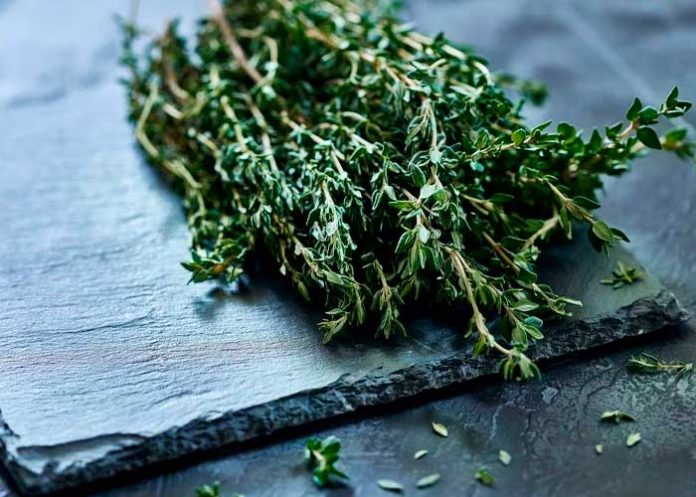 Foto: ¡Respira salud! Protege tus pulmones /cortesía