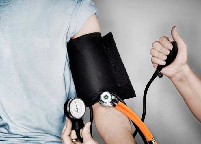 Foto: ¿Deberías incluir avellana en tu dieta? /cortesía