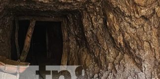 Joven de 16 años pierde la vida tras caer desde una escalera en una mina en León