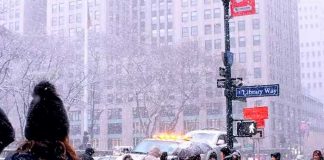 Foto: Inesperada nevada sorprende a Nueva York /cortesía