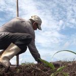 Ministerio del Trabajo presenta avances y logros alcanzados en 17 años