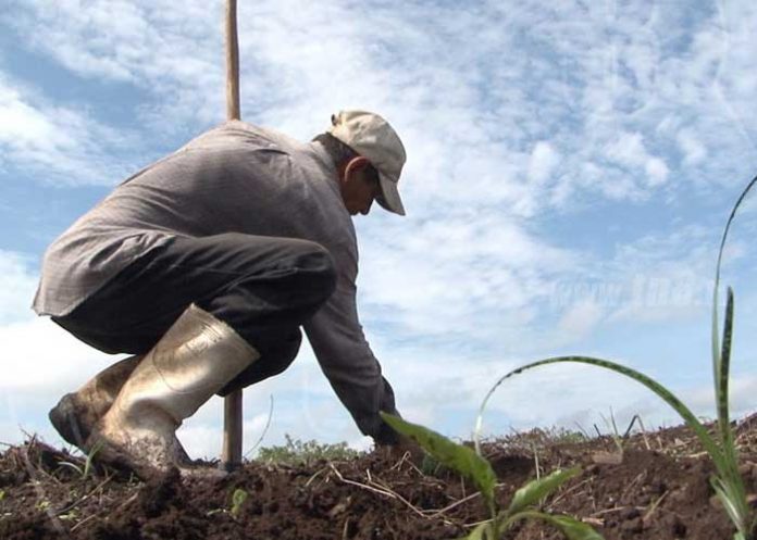 Ministerio del Trabajo presenta avances y logros alcanzados en 17 años