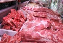 Crece producción nacional de carne bovina y acopio de leche