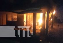 ¿Imprudencia o cortocircuito? Señalan a hombre de provocar incendio en carretera sur Foto: ¿Imprudencia o cortocircuito? Señalan a hombre de provocar incendio en carretera sur/TN8