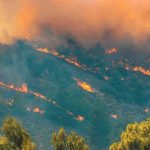 Aumenta riesgo de incendios forestales en Australia por alerta de calor extremo Aumenta riesgo de incendios forestales en Australia por alerta de calor extremo
