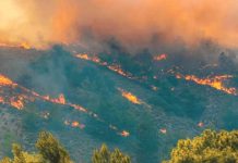 Aumenta riesgo de incendios forestales en Australia por alerta de calor extremo Aumenta riesgo de incendios forestales en Australia por alerta de calor extremo