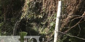 Menor trasladado de urgencia tras choque en la Isla de Ometepe