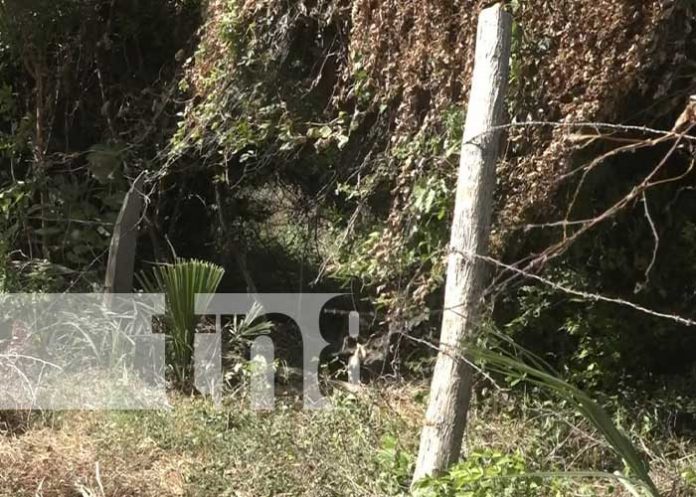 1 Menor trasladado de urgencia tras choque en la Isla de Ometepe