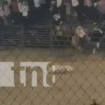 Hombre gravemente herido en el penúltimo día de corridas de toros en Acoyapa Hombre gravemente herido en el penúltimo día de corridas de toros en Acoyapa