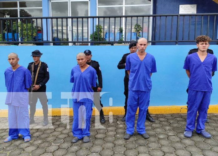 1 Foto: Resultados de la Policía Nacional en el enfrentamiento a la delincuencias/TN8