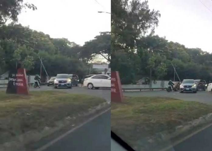 2024 y se siguen viendo 