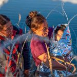 Foto: Patrulla podría cortar alambre de púas en frontera con México /cortesía