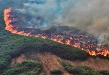 Colombia emite desastre natural tras masivos incendios forestales Foto: Colombia en alerta /cortesía
