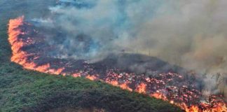 Foto: Colombia en alerta  /cortesía