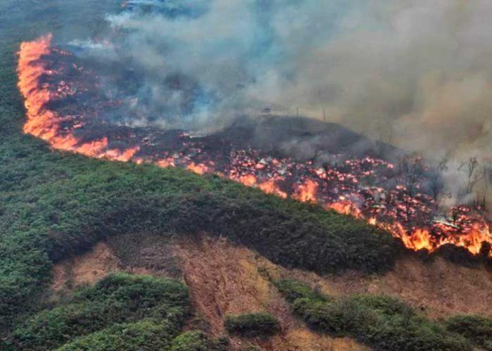 Foto: Colombia en alerta  /cortesía