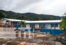 Alto Wangki y Bocay personaliza su atención para el desarrollo sostenible Foto: Progresa la economía en Alto Wangki y Bocay /TN8