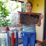 «Miel La Nodriza», un emprendimiento sólido en la Isla de Ometepe Foto: "Miel La Nodriza", un emprendimiento sólido en la Isla de Ometepe / TN8
