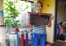 «Miel La Nodriza», un emprendimiento sólido en la Isla de Ometepe Foto: "Miel La Nodriza", un emprendimiento sólido en la Isla de Ometepe / TN8