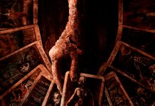 Sony Pictures revela el tráiler de «Tarot» una verdadera película de suspenso y terror Foto: Sony Pictures revela el tráiler de "Tarot" una verdadera película de suspenso y terror/Cortesía