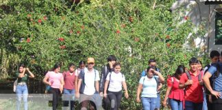 Medicina intercultural tiene una gran demanda en URACCAN, Las Minas