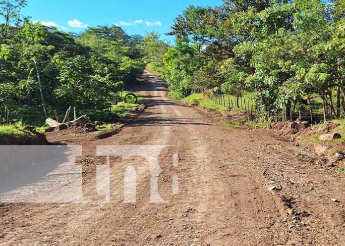 2 Foto: ¡Río Blanco inaugura rehabilitación de carretera vital para la producción agropecuaria!/TN8