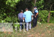 ¡Hombre mata a su exmujer y manda al hospital a la actual pareja de la fallecida! Foto: ¡Hombre mata a su exmujer y manda al hospital a la actual pareja de la fallecida!/TN8