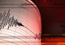 Fuerte sismo de 6,8 sacudió Indonesia sin dejar perdidas humanas Foto: Sismo en Indonesia /cortesía