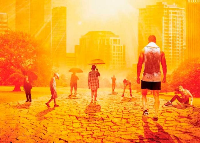 Foto: 2023 año cálido según informe /cortesía