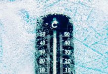 Foto: Frío Extremo y Nevadas Paralizan a Estados Unidos / Cortesía
