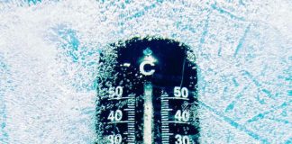 Foto: Frío Extremo y Nevadas Paralizan a Estados Unidos / Cortesía