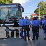 Por jugar al rápido y furioso, caponero pereció bajo las llantas de un bus en Altagracia Foto: Por jugar al rápido y furioso, caponero pereció bajo las llantas de un bus en Altagracia / TN8