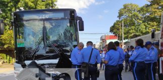 Foto: Por jugar al rápido y furioso, caponero pereció bajo las llantas de un bus en Altagracia / TN8