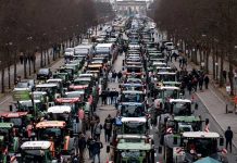 Alemania colapsa con protesta masiva por la eliminación de subsidios Foto: Capital de Alemania bloqueada tras masivas protestas /cortesía