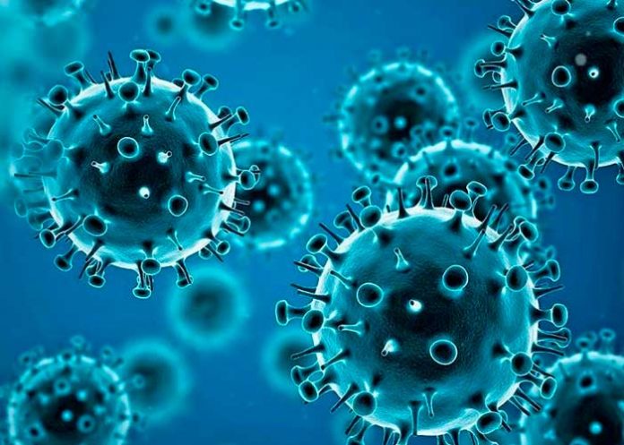 Foto: ¿Qué es 'Enfermedad X'? /cortesía