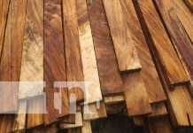 Incautación de madera ilegal en Matiguas Foto: Incautación de madera ilegal en Matiguas/Tn8