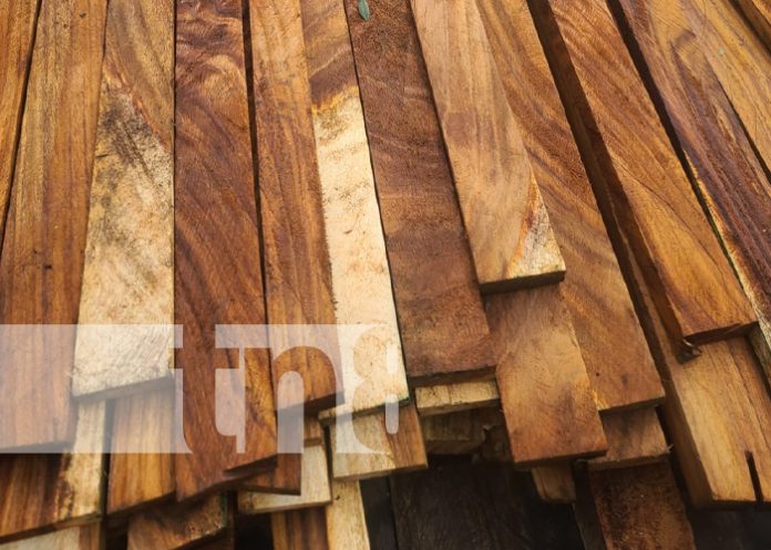 Foto: Incautación de madera ilegal en Matiguas/Tn8